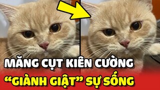 Hành trình "GIÀNH GIẬT" SỰ SỐNG của bé Măng Cụt KIÊN CƯỜNG với bệnh giảm bạch cầu | Yêu Lu