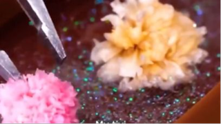 nhà của bạn p4 #mytivi