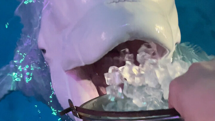 กินน้ำแข็งกันเถอะ