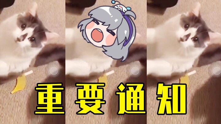 Cầu xin bạn hãy nghe đi~~