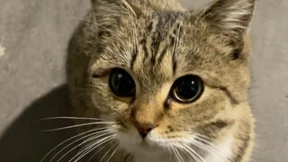 ทำไมมันโตมาได้น่ารักขนาดนี้นะ