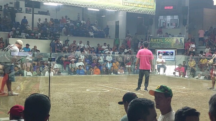 white kelso x twister grey win hack fight 03/29/2026 @NMCA