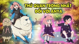 Chọn Damian, Bond Hay Gia Đình Forger, Top 5 Thứ Quan Trọng Nhất Của Anya