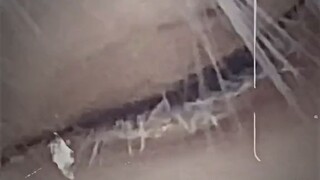 nyolong dlu #gojo satoru❤