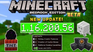 UPDATE! MCPE 1.16.200.56 BETA - XBOX LIVE | Bug Fixes & Vanilla Parity!
