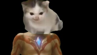 New Generation OP, but when there are no lyrics, Hitler Cat sings it three times and skips it