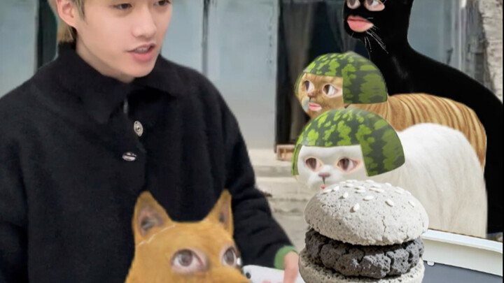 القطة اللعينة للقط والفار