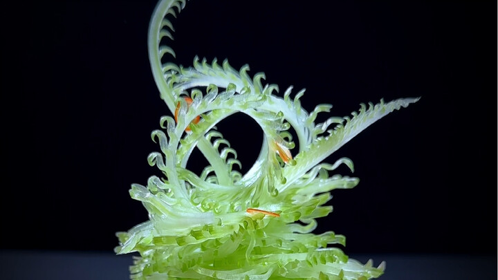 Celery Looks Like a Luxury Dish #ElevateYourMeals #PlatingTips #KnifeSkills #Chefs #CookWithCare