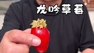 Can the 800-yuan Dragon Roar Strawberry defeat the Ice Cream Assassin?