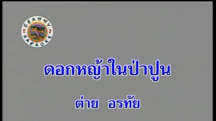 1.ดอกหญ้าในป่าปูน (คาราโอเกะ) - ต่าย อรทัย