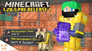 MACE RUINED, Update Done, New Chambers!! | Minecraft 1.20.5 Pre Release 1