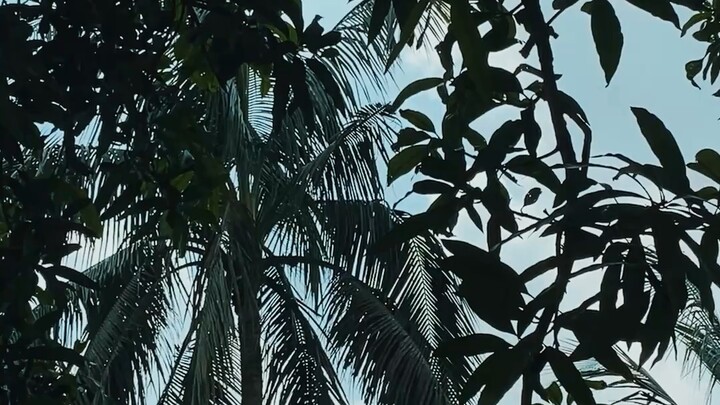 বৃষ্টি । ভিডিও । ২০২৬