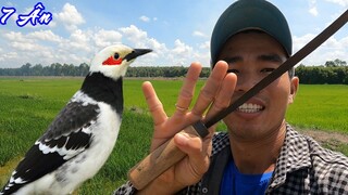 7 Ân - Vô tình GẶP CƯỠNG LẠC BẦY làm gì đây ..