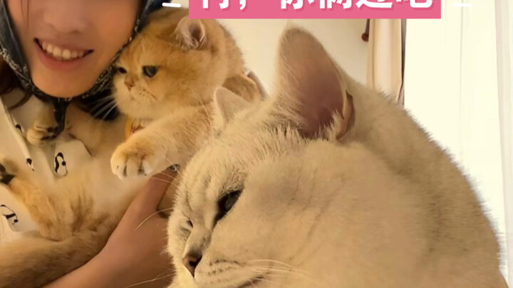 ลาวเฟินเอ๋อร์: ได้เลย ต่อไปก็อยู่กันสองคนเถอะ!