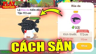 Đã Tàm Ra Mẹo Săn "Rùa Da" Thành Công 100%, Loại Bóng + Thời Gian + Địa Điểm | Play Together