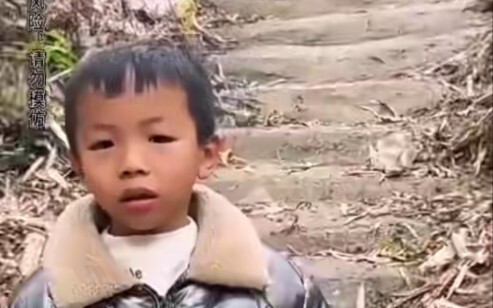 A newborn calf fears no tiger! The little boy grabbed a handful of hogweed!