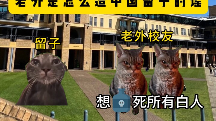 How did those rumors about Liu Zi start spreading?