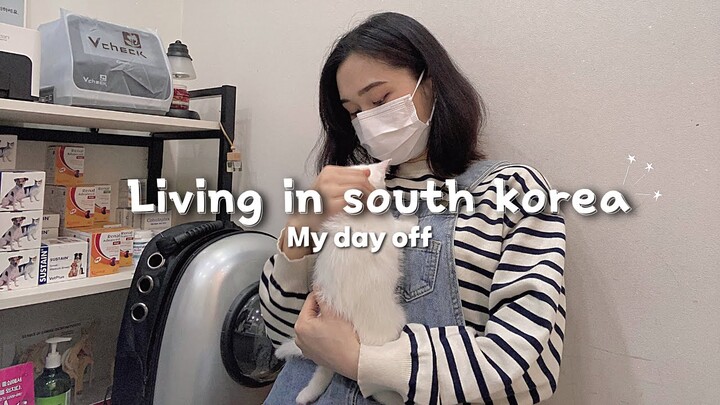 [DU HỌC HÀN] DAY OFF VLOG| Tạm biệt cuộc sống độc thân🤭ăn gà 🍗 uống bia 🍺mì nấu bên sông hàn🍜