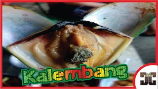 Kalembang