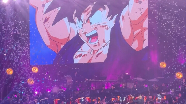 Tuan Bodoh Sang Juruselamat