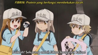 kamu Korengan? bocil ini penyebab korengan, simak penjelasannya