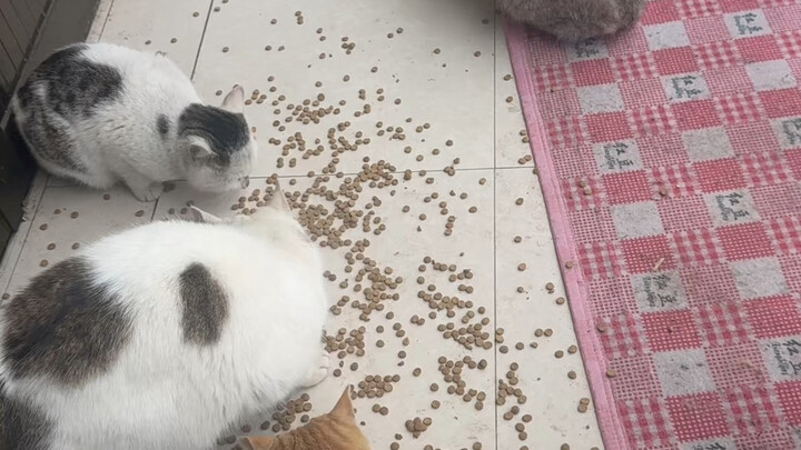 Tôi hơi kỳ lạ.