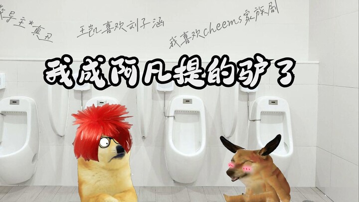 Tôi thành con lừa của A Phù Đề rồi