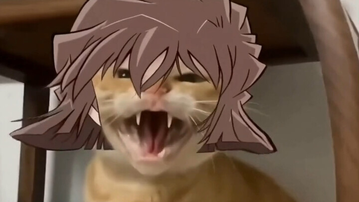 [Akemi] Bihai won’t even stream high‑quality fan creations featuring Ai Haibara? Haha! Haha! Haha! [