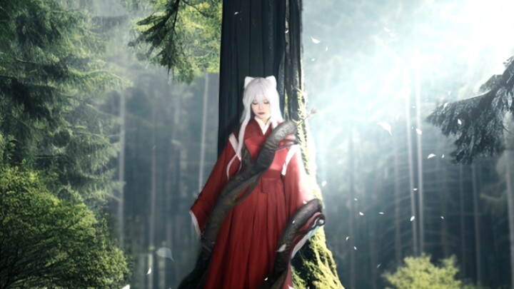 [InuYasha / Platycodon cos] Một khi sợi chỉ đỏ của số phận bị đứt, nó sẽ không bao giờ được nối lại 