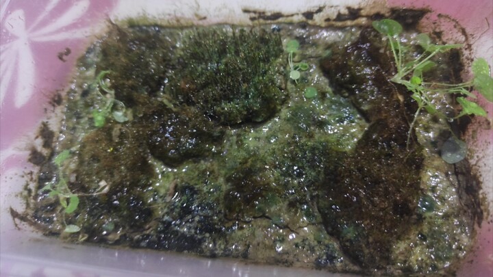 When you finally open the eco-box that’s been sealed for a year…