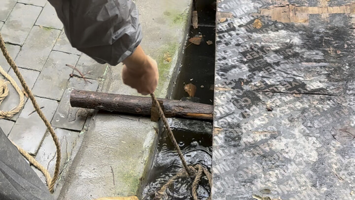 Daily Life of Rescuing Over 40 Stray Dogs on a Rainy Day