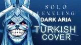 Solo Leveling - DARK ARIA ＜LV2＞ (Turkish Cover by Minachu) ft. @Serjie_