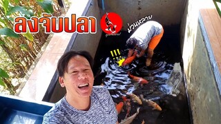 ลงบ่อจับปลาคาร์ฟโชว์ วัดไซส์  l คุณพ่อคราฟ