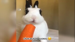 สนุกจนเพลินเลย