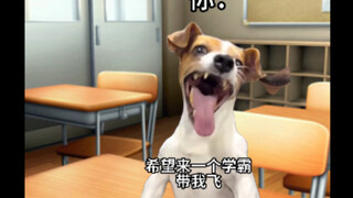 当老师分配学习小组成员时