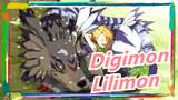 [Digimon MMD] Lilimon [Smash Shop]