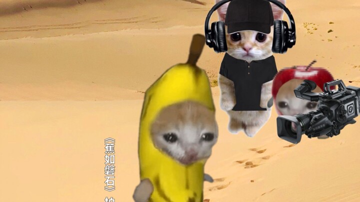 So dedicated! Veteran actor Banana Cat delivers an explosive performance!