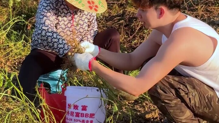ฉันไม่รู้ว่าหลังวันหยุดฉันจะสามารถกลับไปที่หมู่บ้านเพื่อให้คำแนะนำทางเทคนิคได้หรือไม่