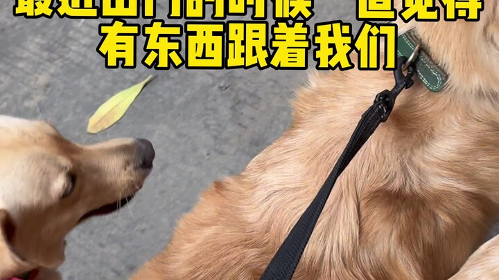 This holiday has warmed my icy heart.