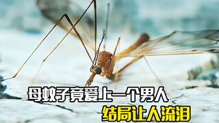 母蚊子竟爱上了一个男人，结局让人流泪