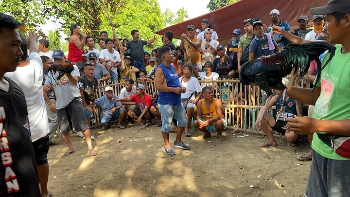 Firsta serye 3rd fight Win c Bagul dinaan sa laki, kanan Tari👍