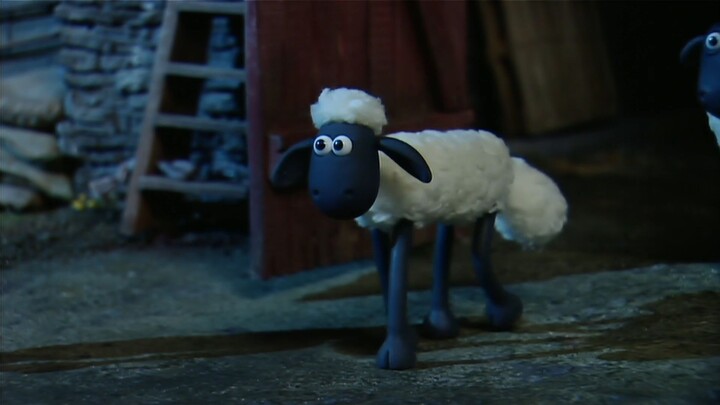 Những Chú Cừu Thông Minh 1 #36