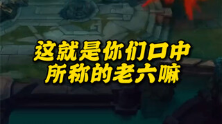 这就是你们口中所称的老六嘛
