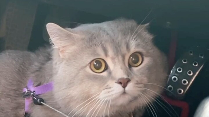 Not just the “eat-everything” gene—she also inherited sweaty feet!