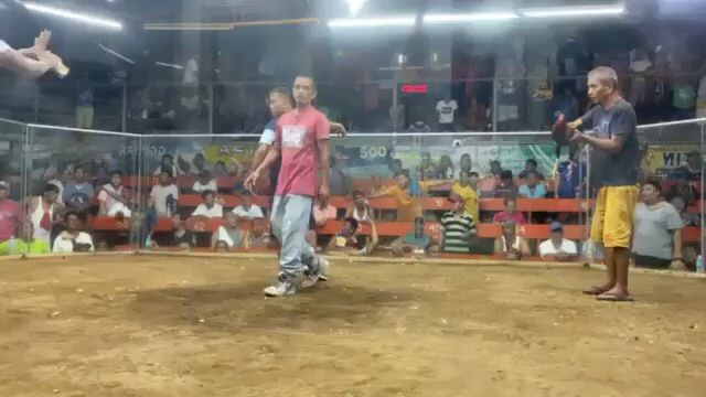 3rd Fight  (Finance by Mr. C) 3 Wins