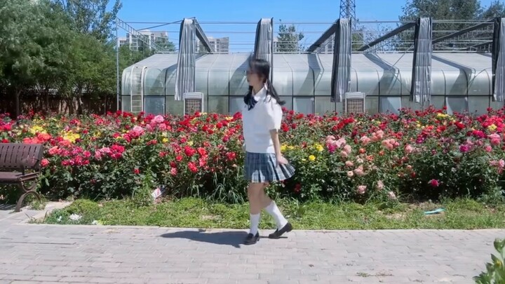 【Cream Soda and Crown Light】20th Birthday