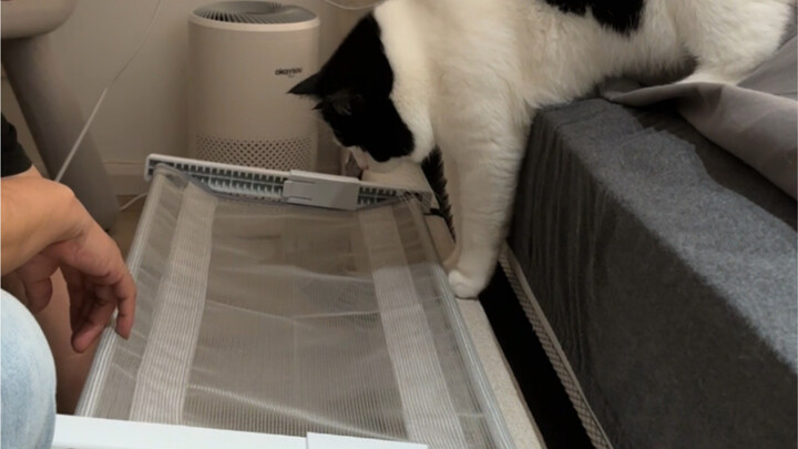 Wang Moli whipped up a little bed for herself~