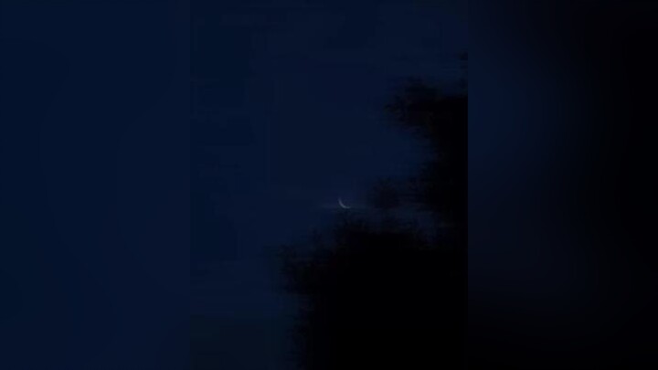 Thắng làm vua, thua làm lại 🥺✨ Mindou✨ slap_✨ rumble_🌩 xh fypシ