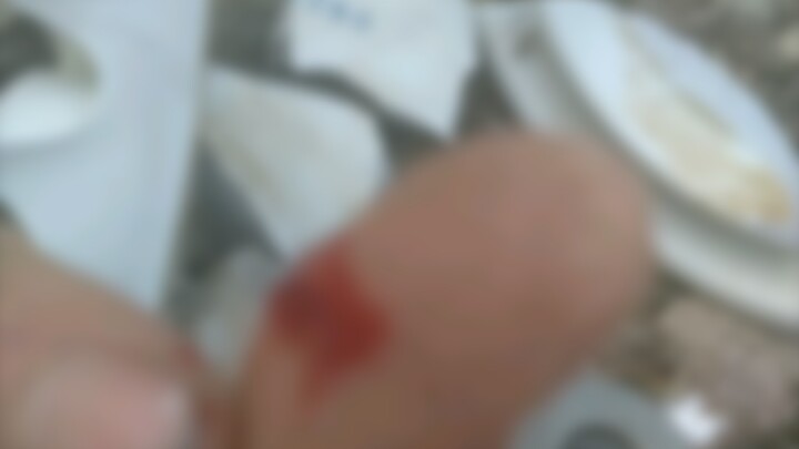 The fragments of porcelain insulators are very sharp, so don't smash them!