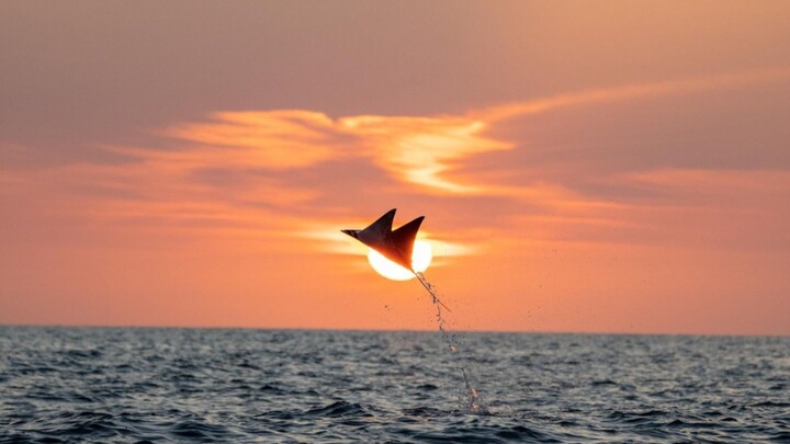 كل فترة من حياة الإنسان هي فترة شباب ووقت مناسب.